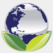 New Economy Working Group